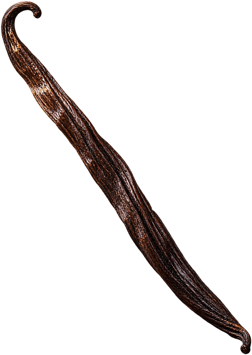 A glossy, dark cured vanilla bean pod